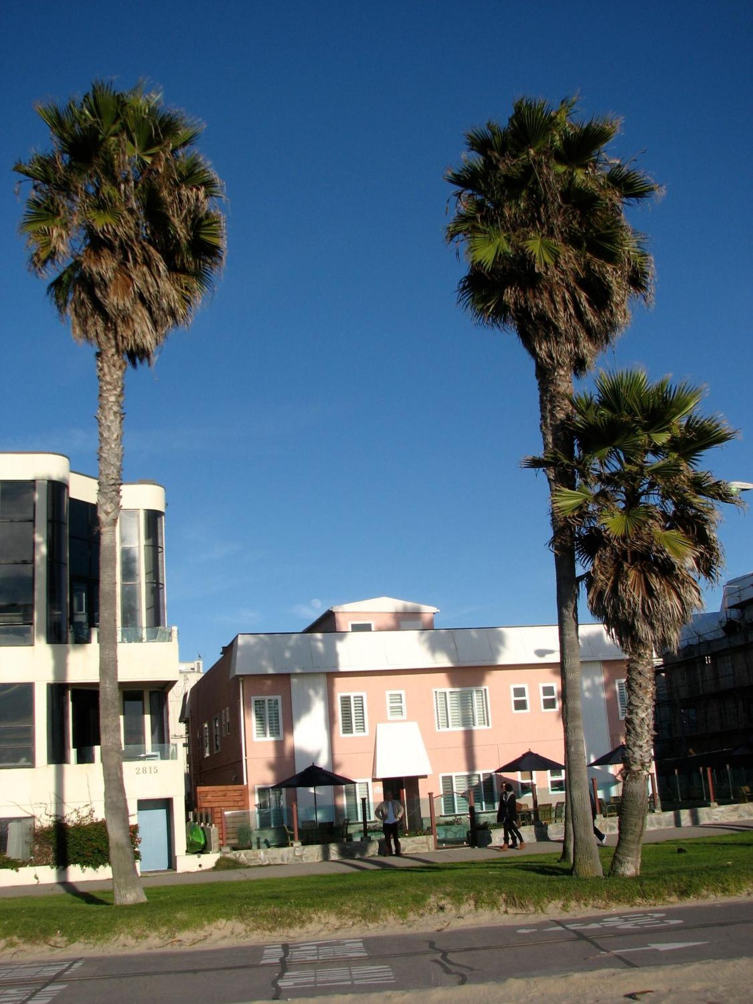 Venice On The Beach Hotel Los Angeles Bagian luar foto